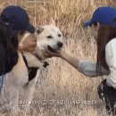 인숙농장 이미지