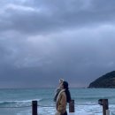 델문도 | 제주도 함덕 해변 카페 델문도 새벽 오픈런 다녀온 후기