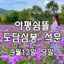 남한강 자연경관 - 단양 아평쉼뜰 버베나군락, 도담삼봉 석문, 잔도길 이미지