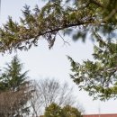 금호동 장미아파트 이미지