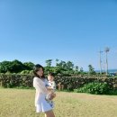 세모집 제주 이미지