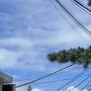 용산-현장-1474 이미지