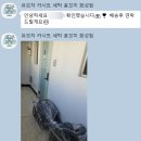 유모차 카시트 세탁 꼼꼬미 네이버블로그