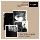 헤어애비뉴 이미지