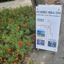 태신목장 | 아이와 방문하면 좋을 체험형 목장 아그로랜드 태신목장 방문후기