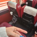 한반도면-13(옹정소 공원) | 파랑새투어 / 강원도 영월 여행코스 한반도 지형 - 청령포 - 장릉 노루조각공원 - 선돌 - 영월역