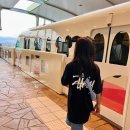 주식회사아이아워 | 도쿄 디즈니랜드 입장권·티켓·놀이기구·먹을거리 총정리