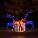 꿈의광장 이미지