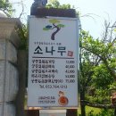 소나무백숙해신탕