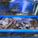 신강원수산