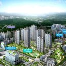 메디메다 이미지