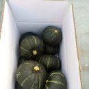 미순농장 이미지