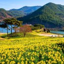 저수지목장 이미지