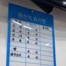 금옥 | [통영맛집] 통영 서호시장 금옥식당 내돈내산 후기