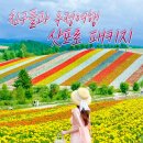 우정팜 | 여름휴가로 친구들과 다녀온 삿포로패키지, 북해도로 떠난 우정여행 후기