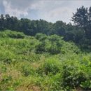 회성동267 이미지