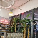 굿손 (춘천엔타점) 이미지