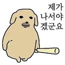베어랜드 민박 | Tokyo