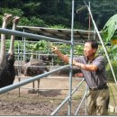 유구농장 이미지