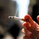 병양농장 이미지