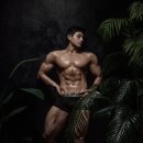 바디다짐 이미지