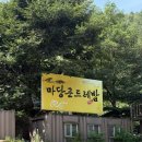 마당곤드레밥 | 양평 애견동반 식당] 애견관리 안하는 "마당곤드레밥" 방문한 후기 • 입질관리 안하고 오히려 고객탓...