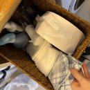 제주애단비 마주 이미지