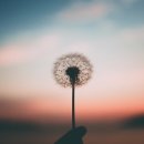 (주)탑코리아모터스 이미지