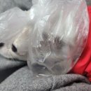 우솔동물병원 이미지