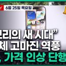 애플 한국경제