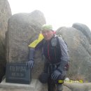 팔봉산 주차장 이미지