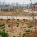 무궁화동산 화장실 이미지