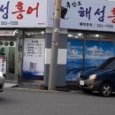 흑산도해성홍어 네이버블로그