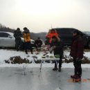 오곡제 Daum카페