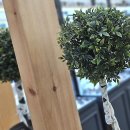 선사안경원 이미지