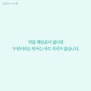 성경농장 이미지