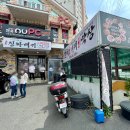 국가대표 진짜배기 이미지