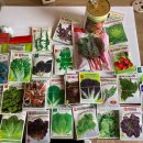 초록농장2 이미지