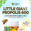 자이언트상사 이미지