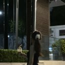 씨유이태원점 이미지