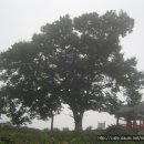 탑동석불 이미지