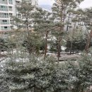 소주랑 애카 다녀왔어요~ [성남 애견카페 멍브로]