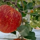 우직농장 이미지