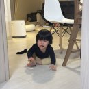 여주진모텔 | 25.12.31-26.1.2 | 울산~부산~김해~대전 여행