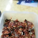 권유섬공인중개사사무소 이미지
