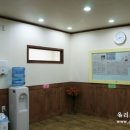 올리브엔제펫토 - 고양시 일산서구 강성로 147 | 올리브엔제펫토