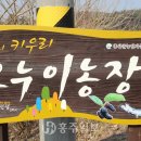오누이농장 이미지