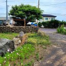 행원소담 이미지