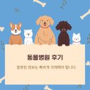 드림동물병원 | 동물병원후기 삭제, 왜 필요할까요?