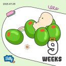 아산우체국 | [임신 9주차] 일란성 쌍둥이 대학병원 초진(서울아산병원), 우체국 태아보험 무료 가입